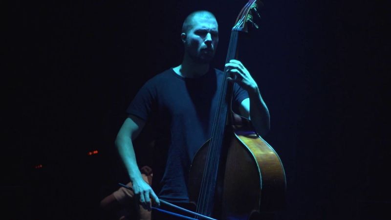 The musician playing the double bass.