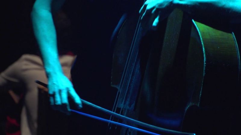 Close-up of the bow playing the double bass.